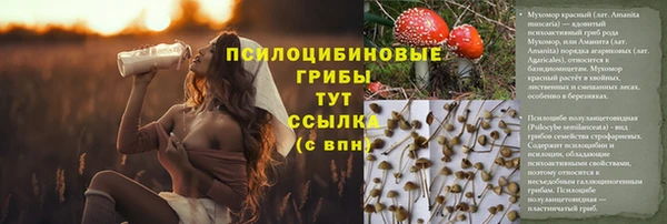 мет Бородино