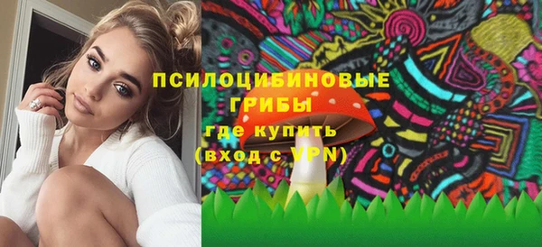 apvp Бугульма