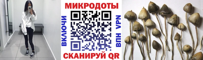 Галлюциногенные грибы ЛСД Барнаул
